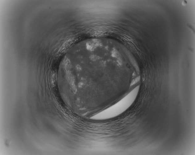 X0000100340503200806261330