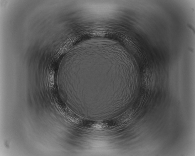 X0000100340504200806261330