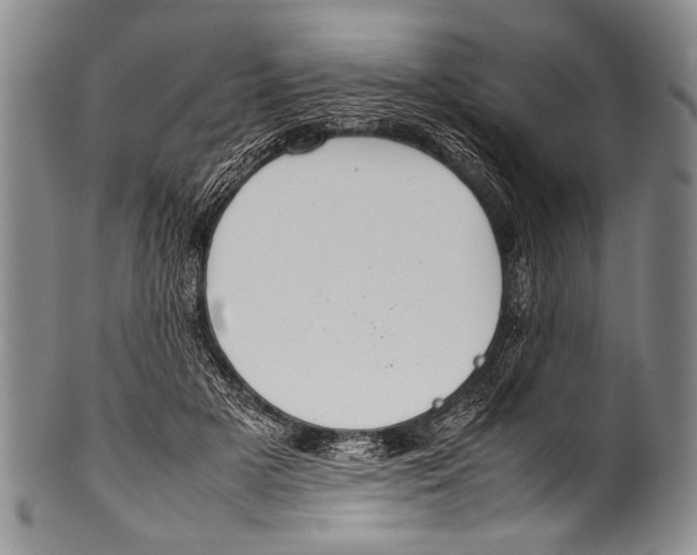 X0000100340505200806261330