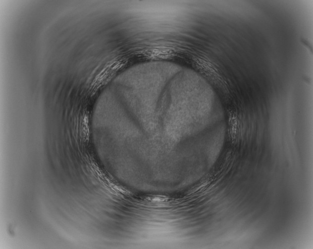 X0000100340506200806261330