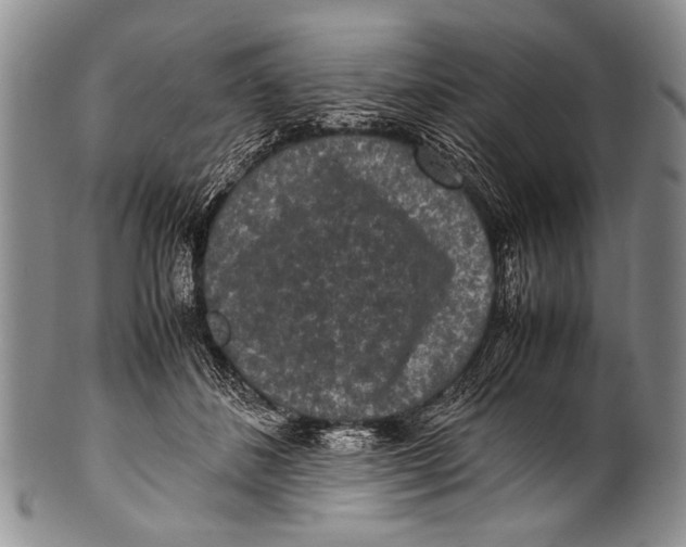 X0000100340508200806261330