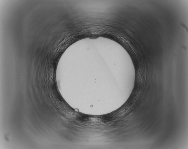 X0000100340509200806261330