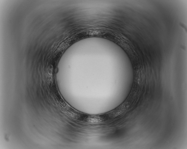 X0000100340510200806261330