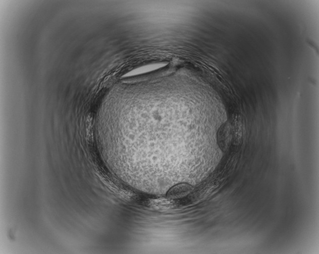 X0000100340511200806261330