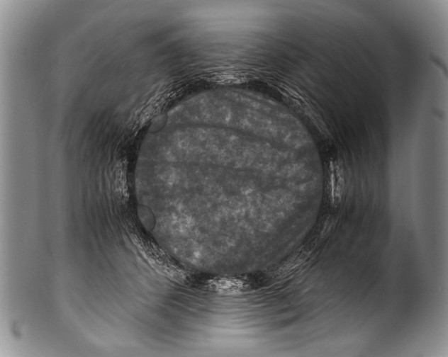 X0000100340512200806261330