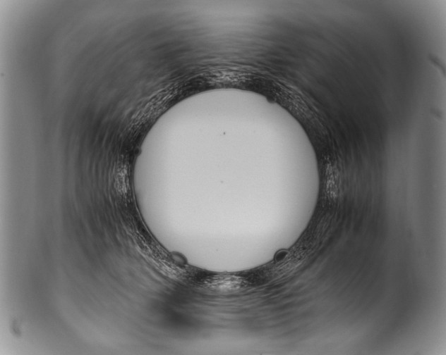 X0000100340514200806261330