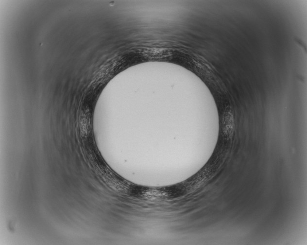 X0000100340515200806261330