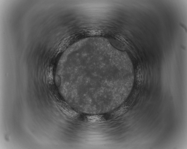 X0000100340516200806261330