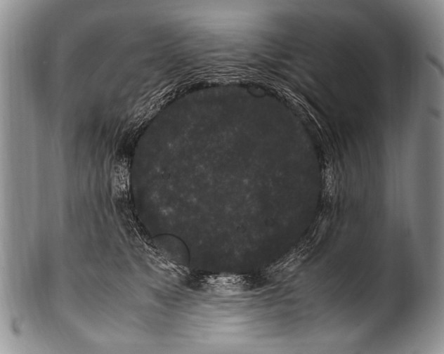 X0000100340517200806261330