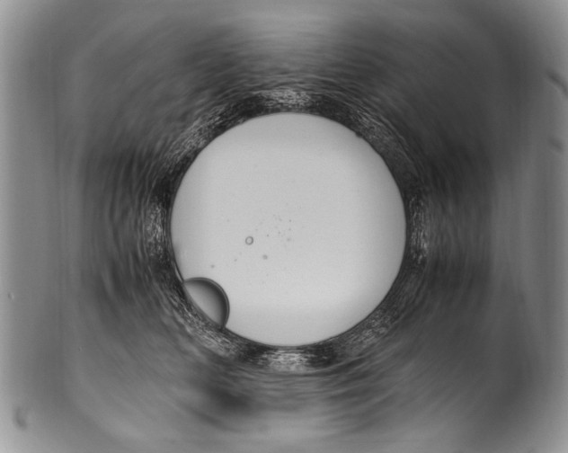 X0000100340518200806261330