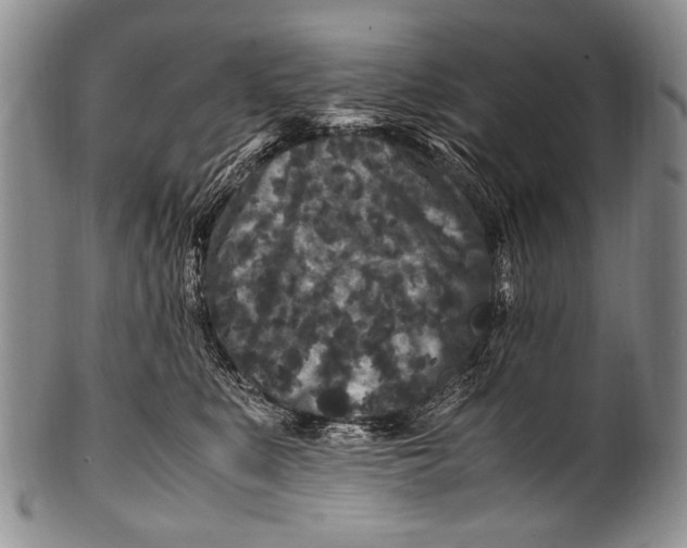 X0000100340519200806261330