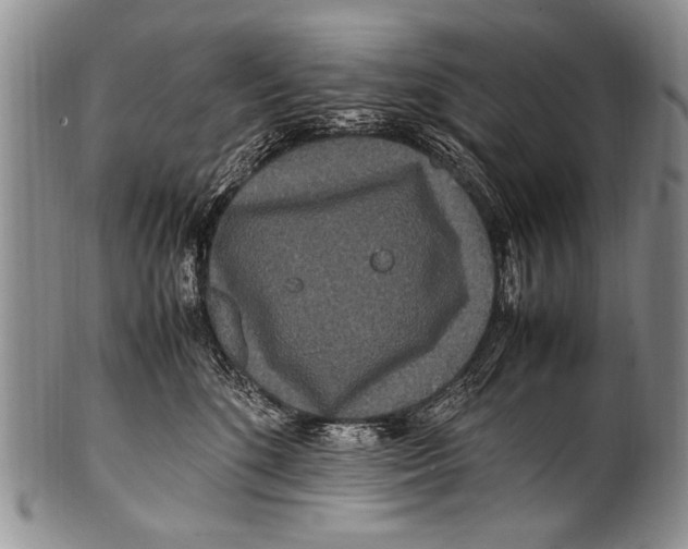 X0000100340520200806261330