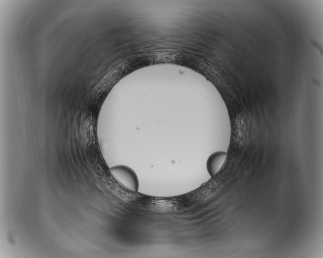 X0000100340522200806261330