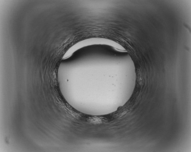 X0000100340523200806261330