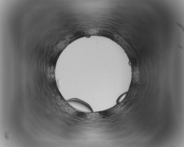 X0000100340525200806261330