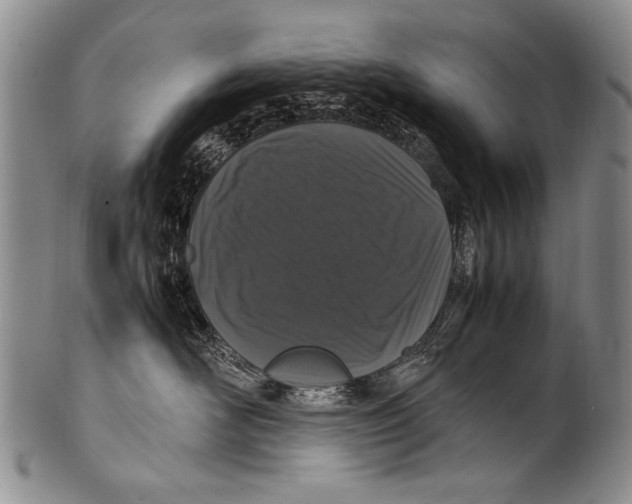 X0000100340526200806261330