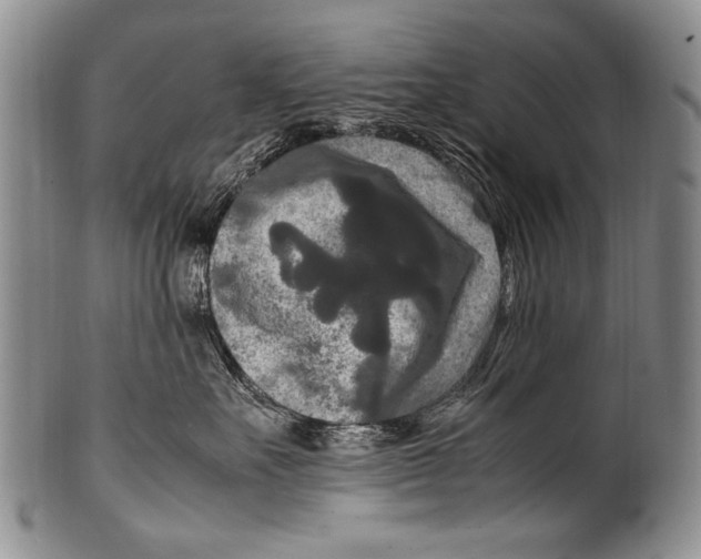 X0000100340527200806261330