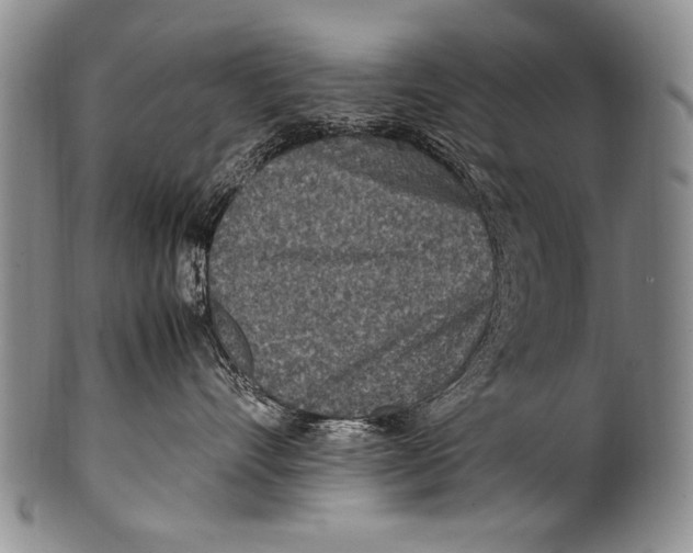 X0000100340528200806261330