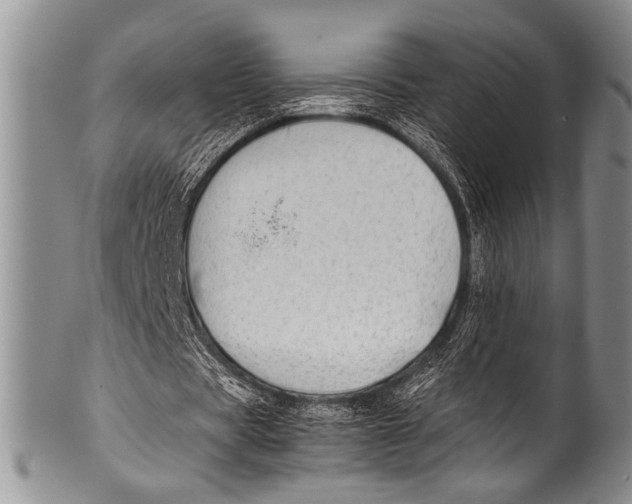 X0000100340529200806261329