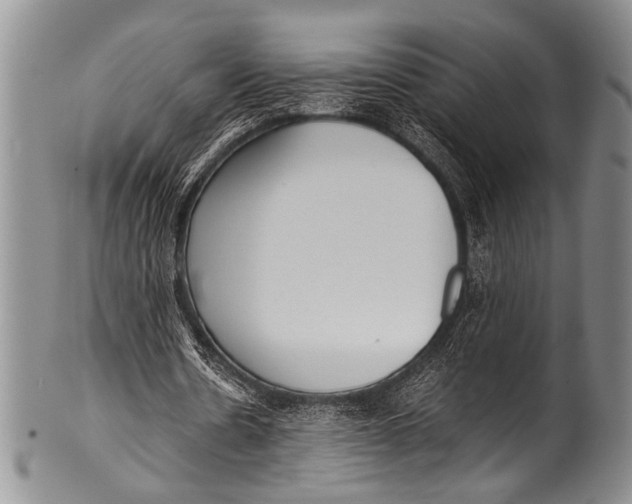 X0000100340530200806261329