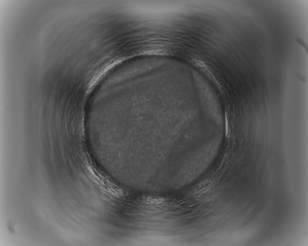 X0000100340531200806261329