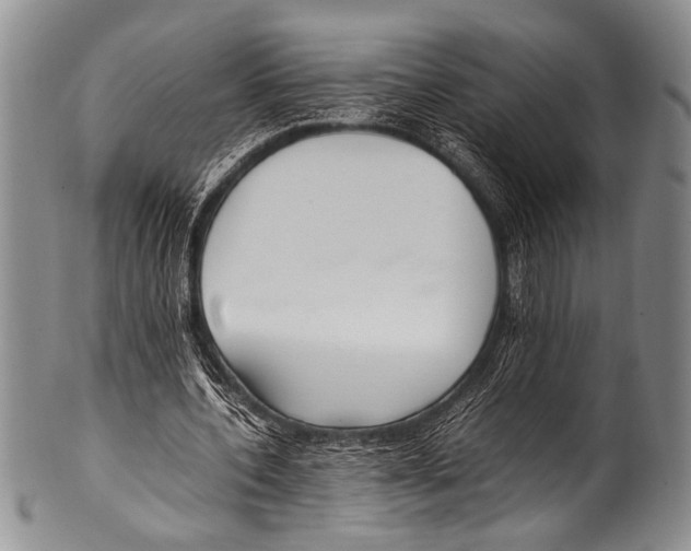 X0000100340532200806261329