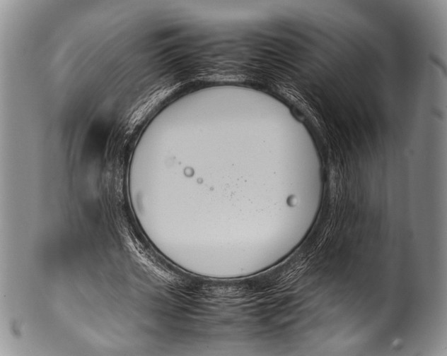 X0000100340533200806261329