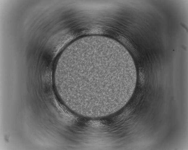 X0000100340534200806261329