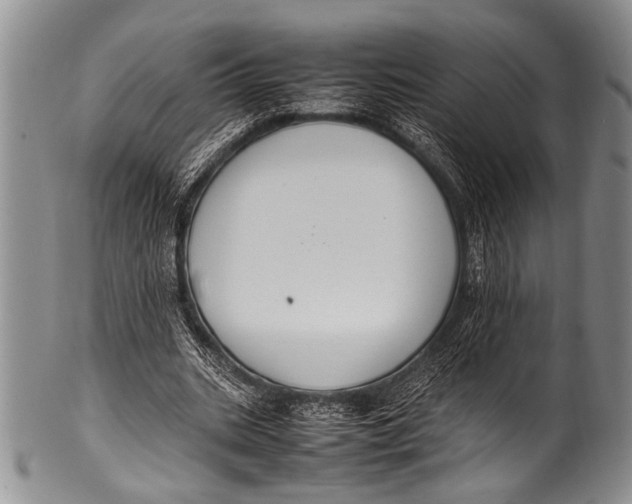 X0000100340535200806261329