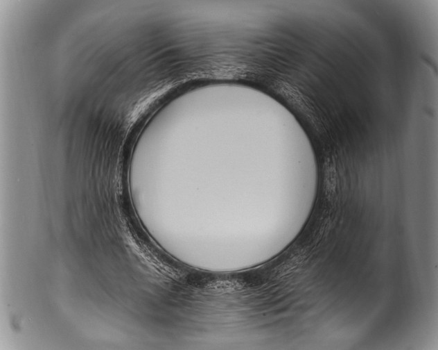 X0000100340536200806261329