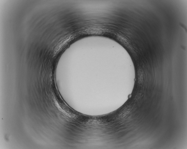 X0000100340538200806261329