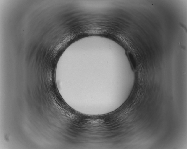 X0000100340539200806261329