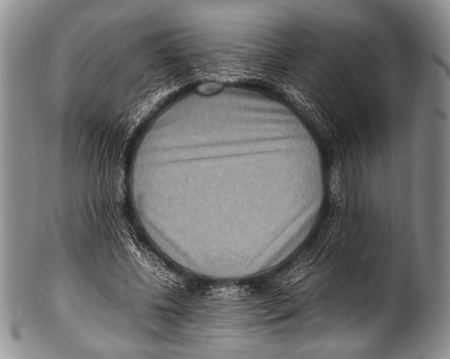 X0000100340540200806261329