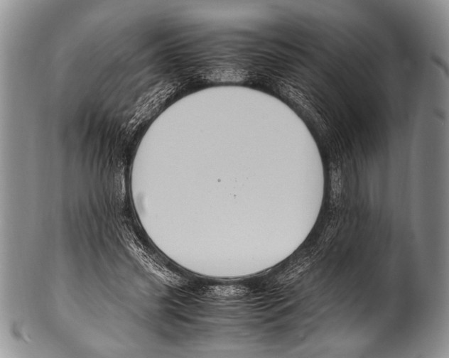 X0000100340541200806261329