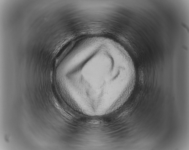 X0000100340542200806261329