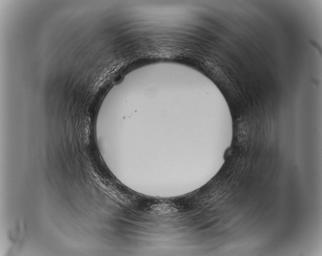 X0000100340544200806261329