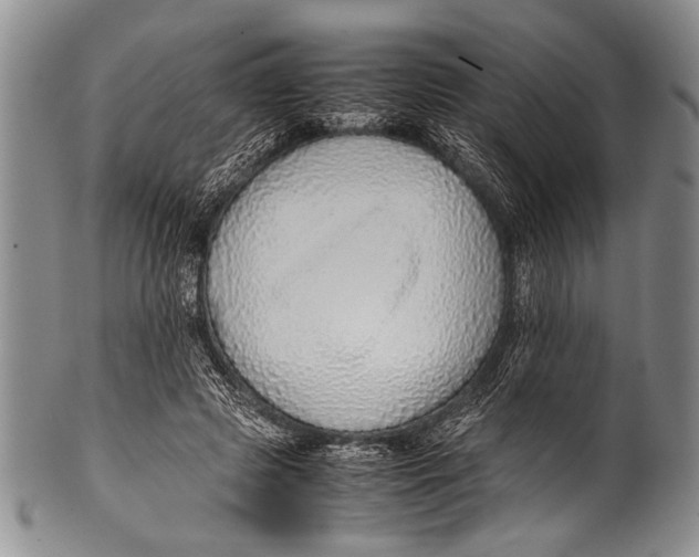 X0000100340545200806261329