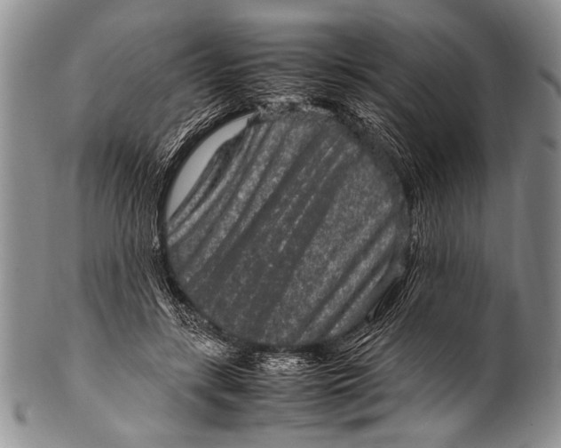 X0000100340547200806261329