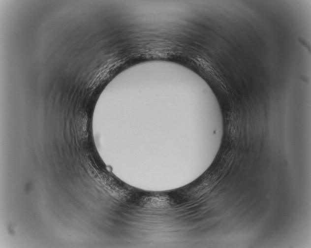 X0000100340548200806261329