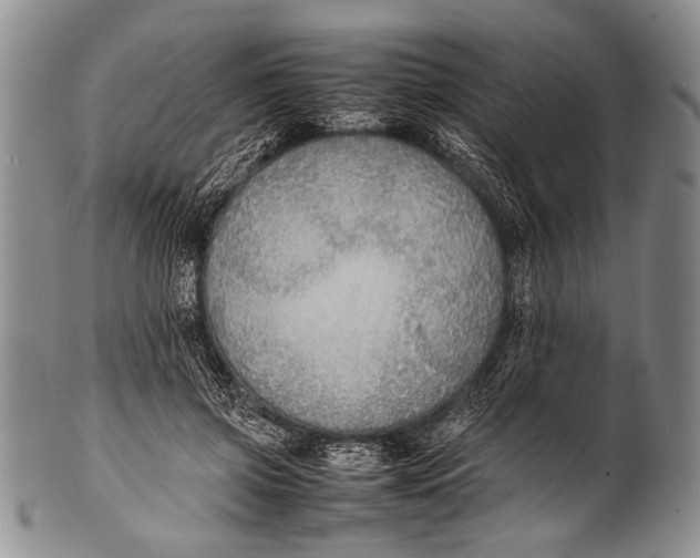 X0000100340549200806261329