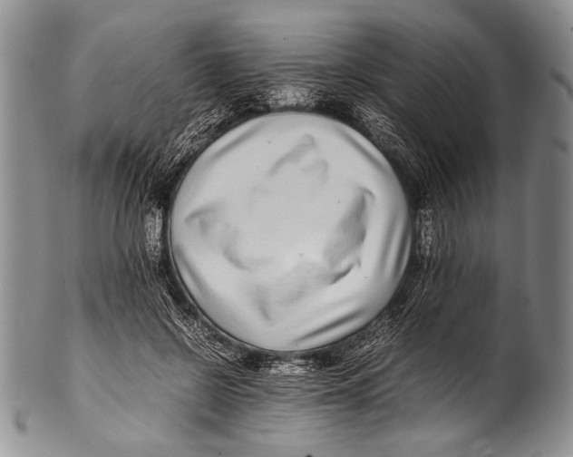 X0000100340550200806261329