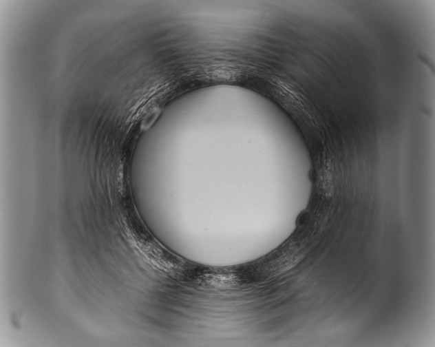 X0000100340552200806261329