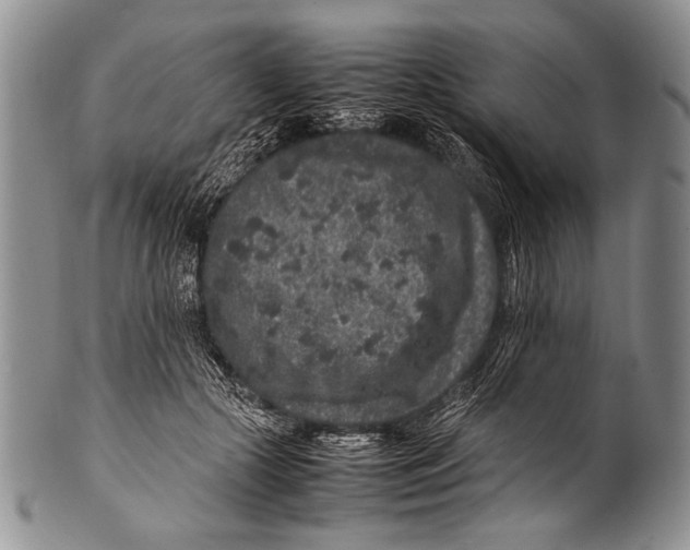 X0000100340553200806261329