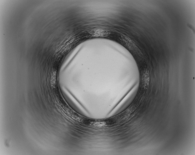 X0000100340554200806261329