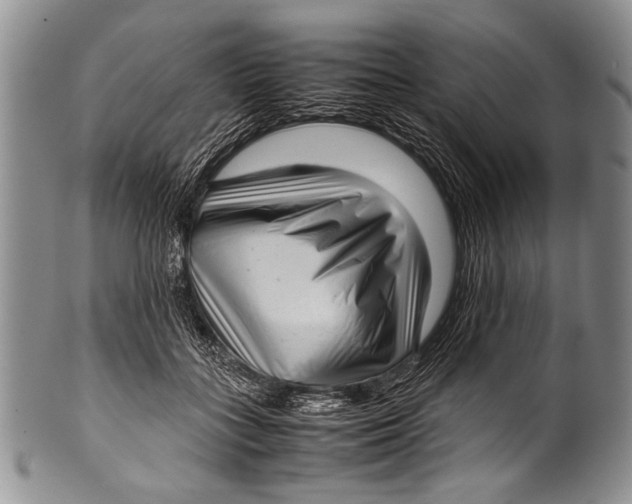 X0000100340555200806261329