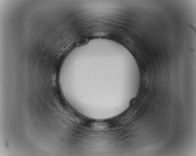 X0000100340556200806261329