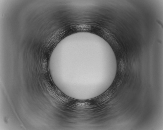 X0000100340557200806261329