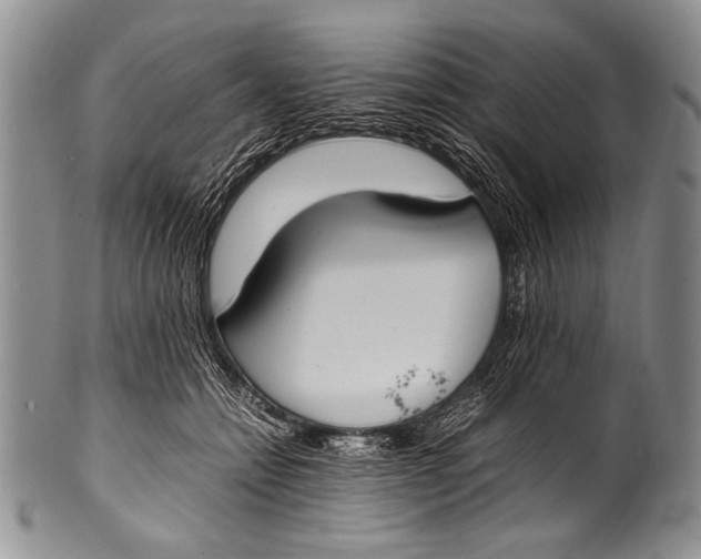 X0000100340558200806261329