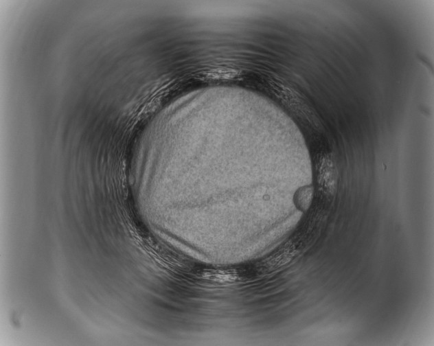 X0000100340559200806261329