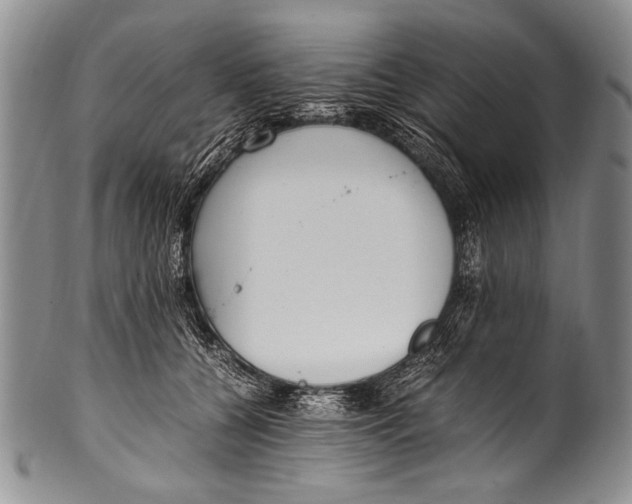 X0000100340560200806261329